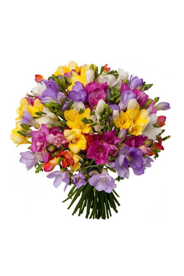 букет фрезий