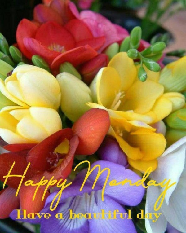 фрезии букет