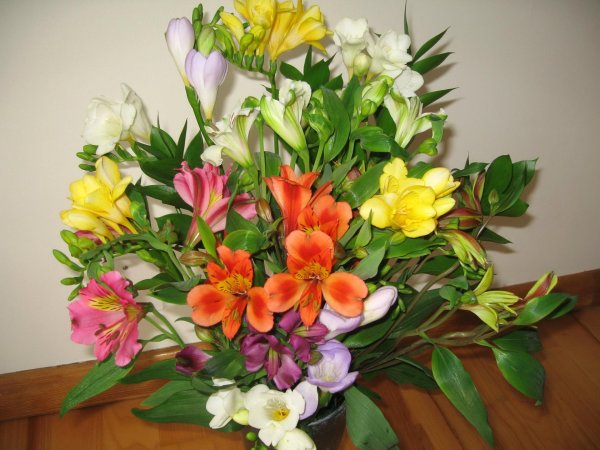 альстромерии цветы