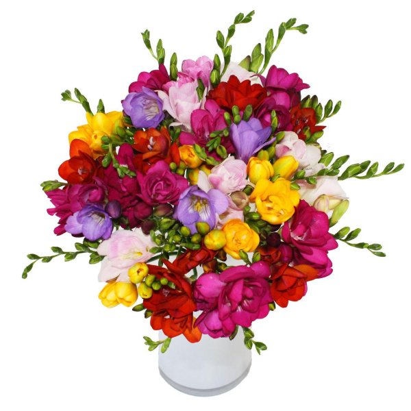 букет фрезий