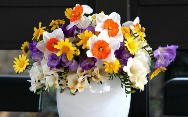 нарцисс букет