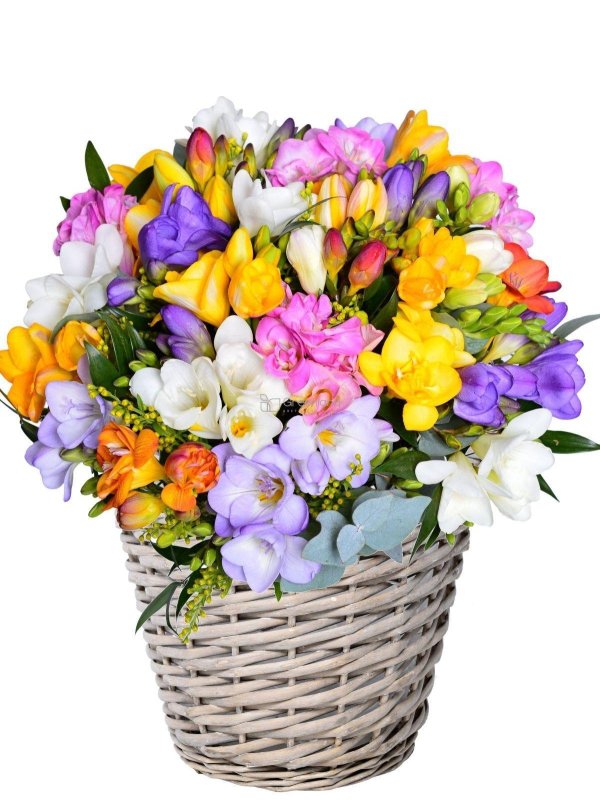 букет фрезий