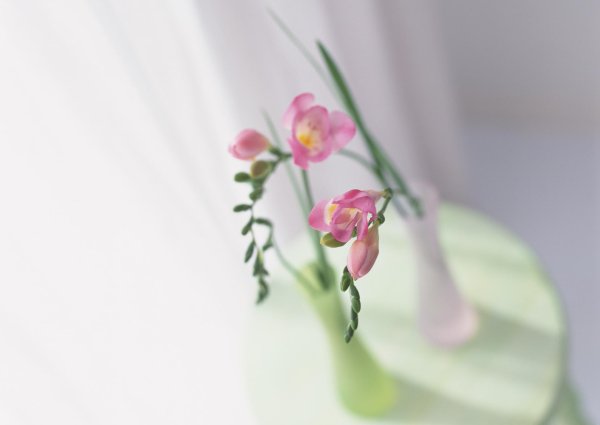 цветы из холодного фарфора