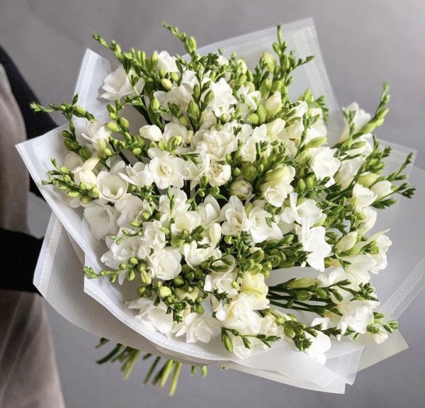 монобукет  эустома