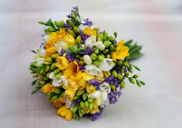 букет фрезий