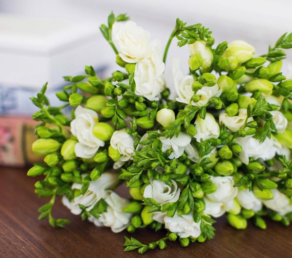 букет фрезий