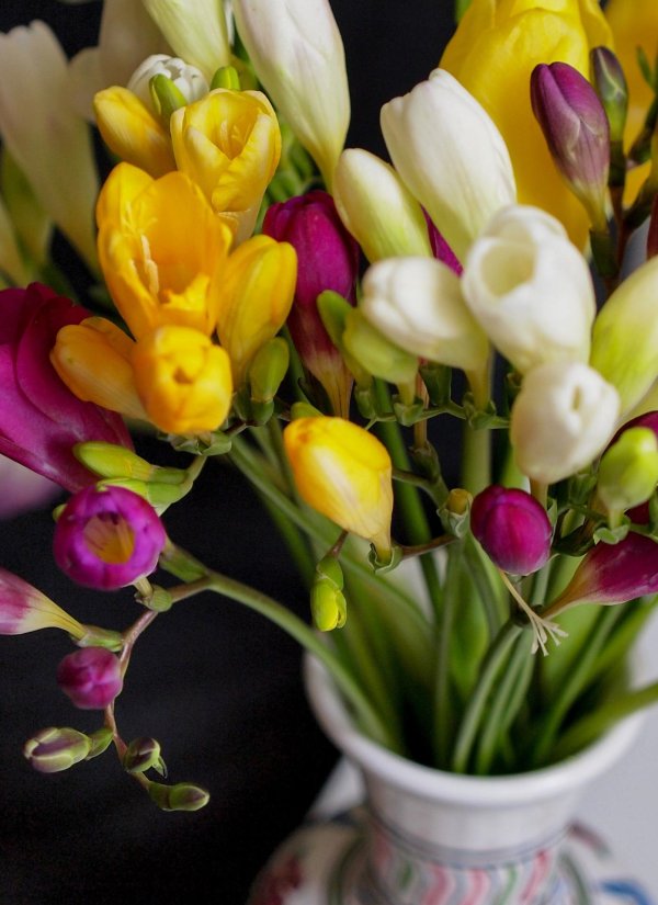 цветок фрезии