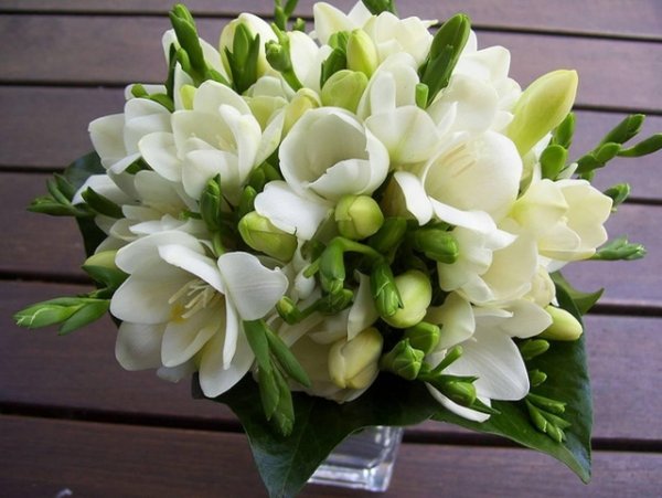 свадебный букет из белых фрезий