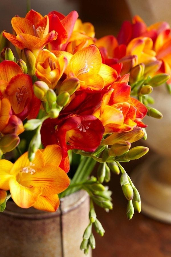 оранжевые цветы букет