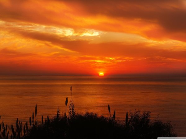 Мужчины на закате