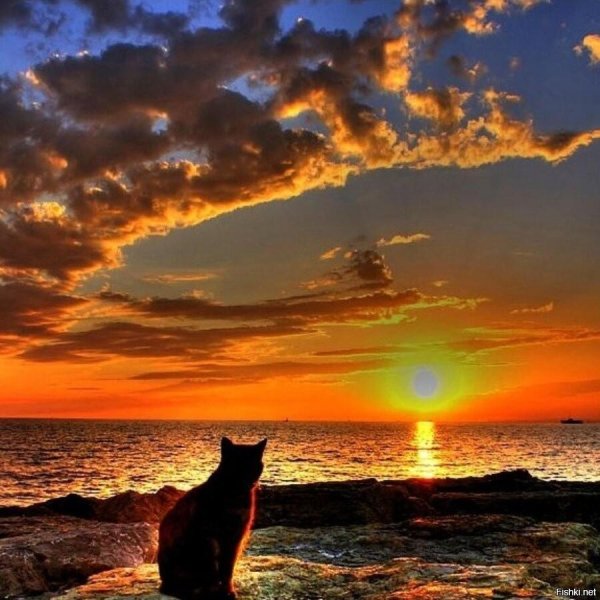 Мужчины на закате