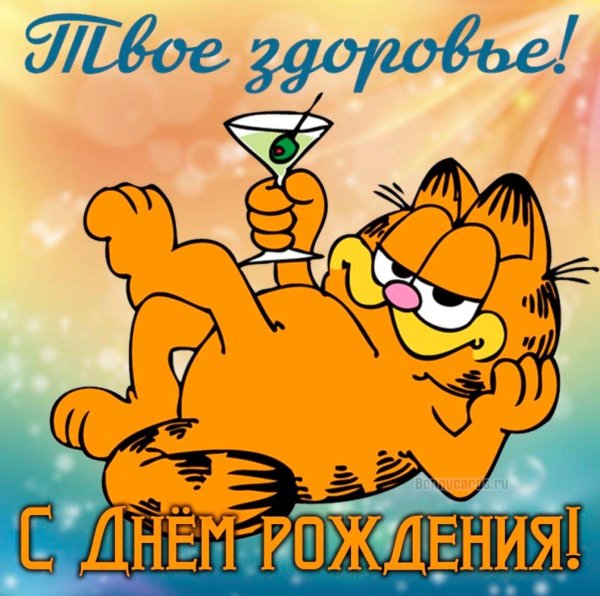 День рождения друга мужчины