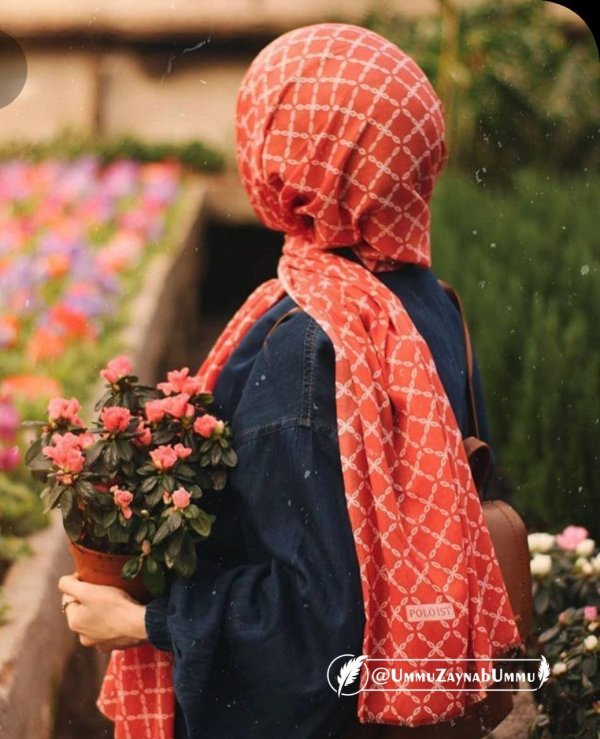 хиджаб красивый