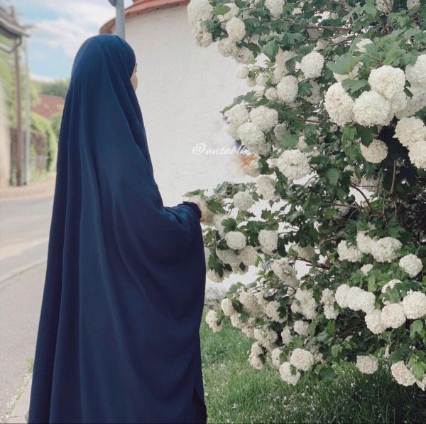 красивые хиджабы