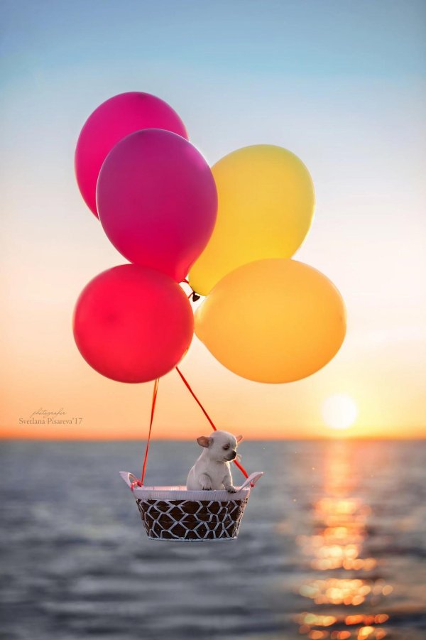 Позитивные для мужчины с надписями