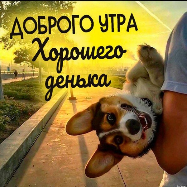 Позитивные для мужчины с надписями