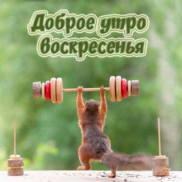 Позитивные для мужчины с надписями