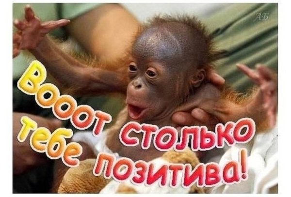 Позитивные для мужчины с надписями