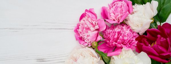 фотофон пионы