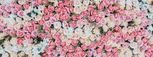 цветочная стена