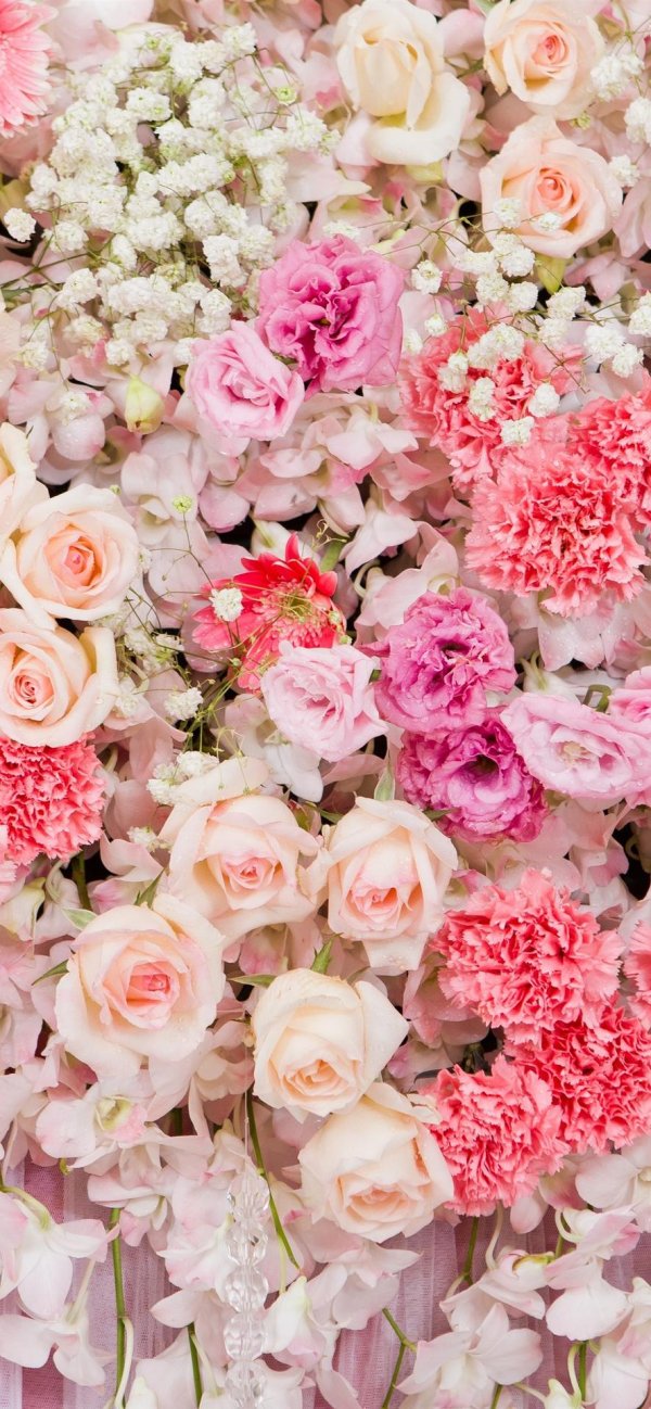 цветочные фоны