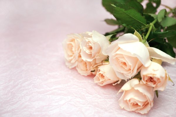 слова благодарности