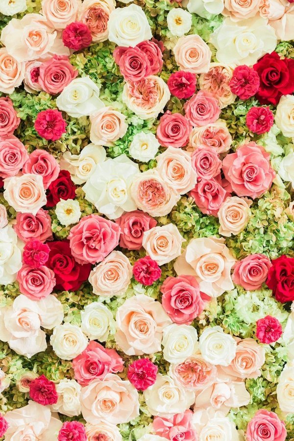 цветочные фоны