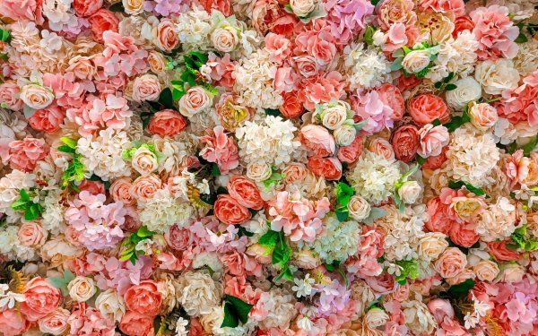 цветочная стена