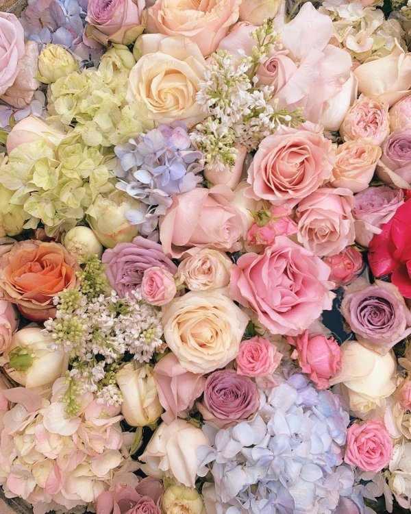 цветочные фоны