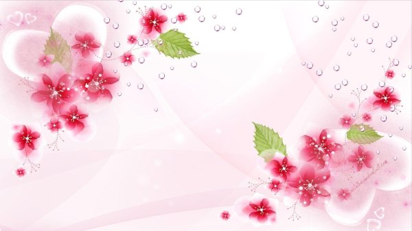 цветочные фоны