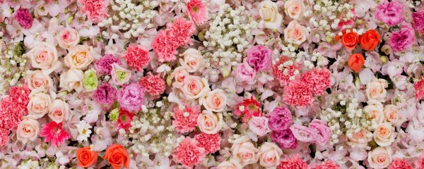 красивые мелкие цветы