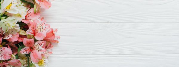 баннер цветы