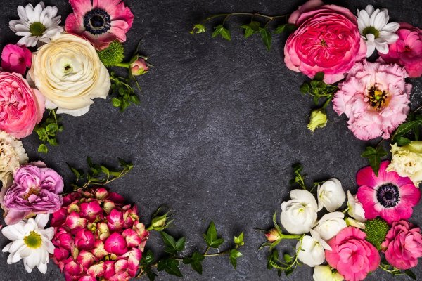 цветочные фоны