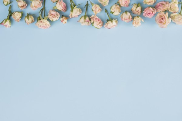 цветочные фоны