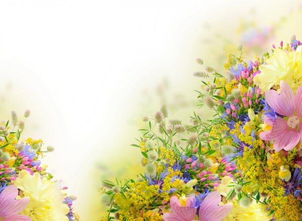 цветочные фоны