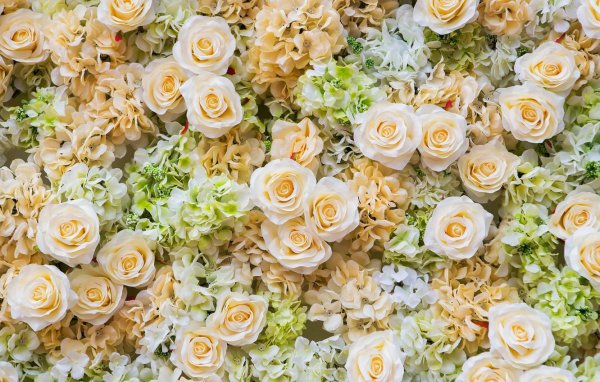 цветочная стена