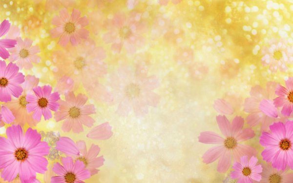 цветочные фоны