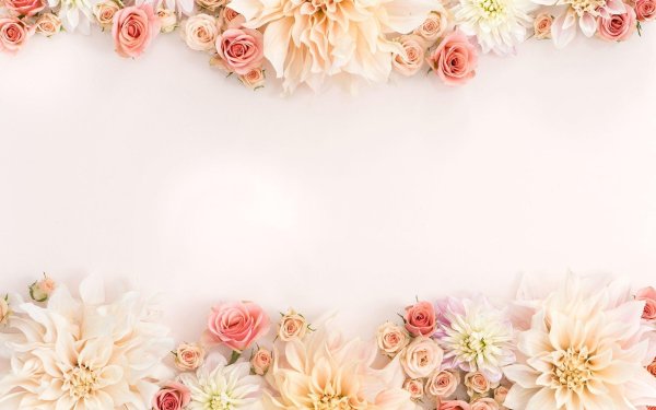 цветочные фоны