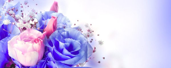 цветочные фоны