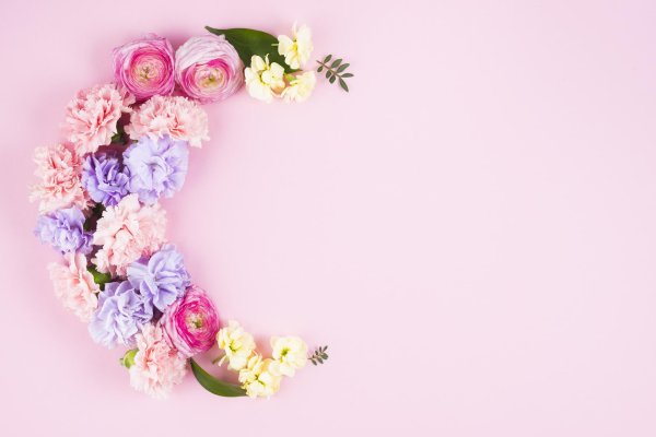 цветочные фоны