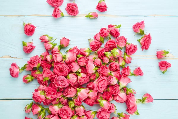 кустовая роза