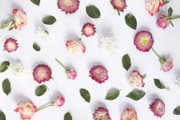 цветочные паттерны