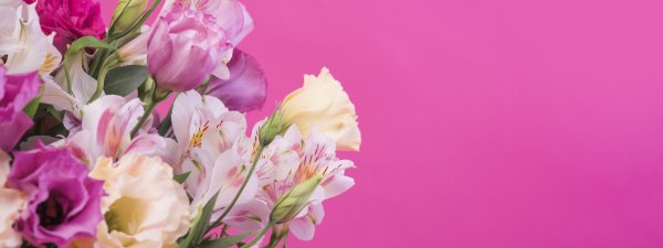 цветы сбоку