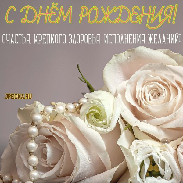 роза аваланж