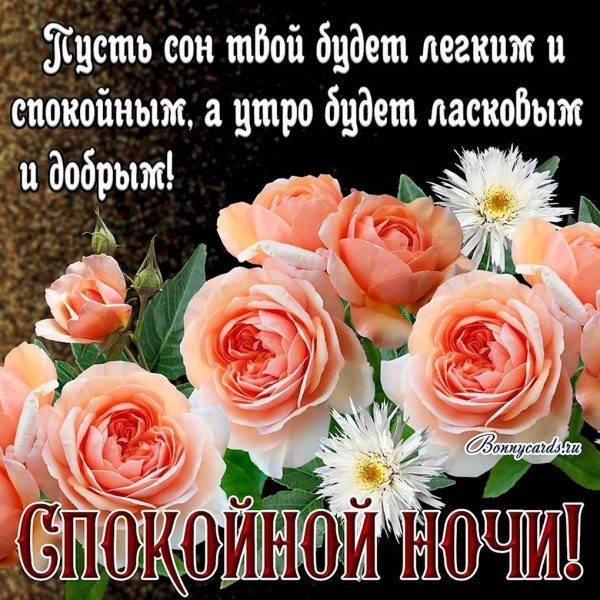 красивые поздравления спокойной ночи