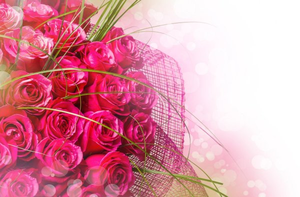 фон для поздравительной открытки