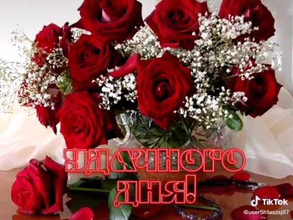 красивая цветок