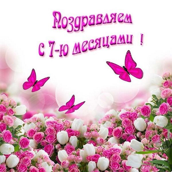 розовая бабочка