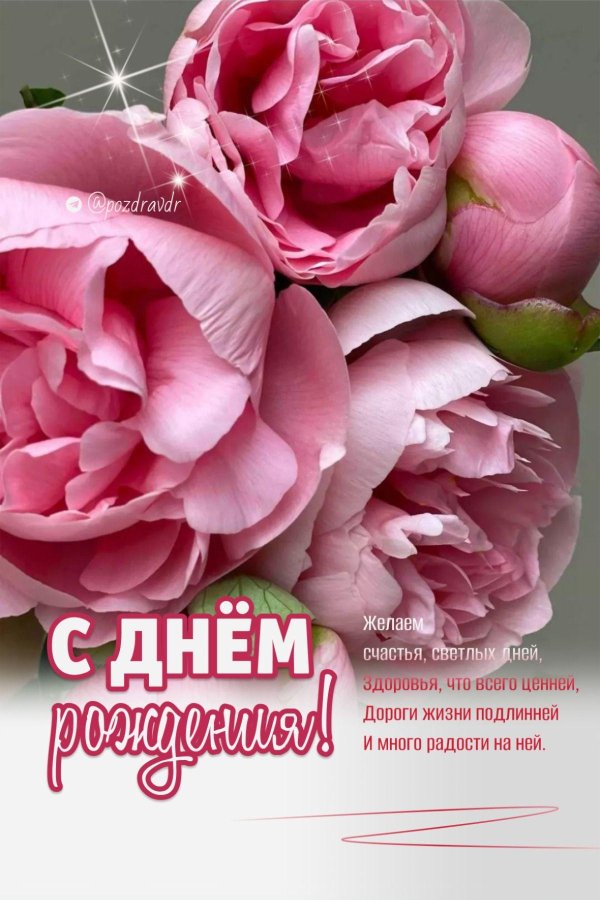 открытки с днём рождения пионы красивые