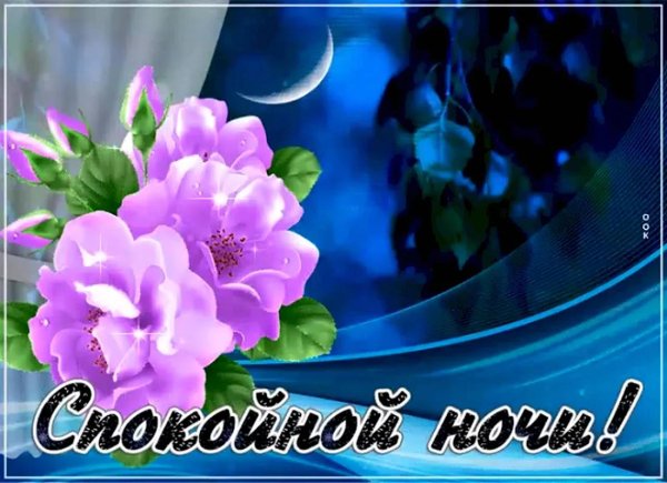 цветы спокойной ночи